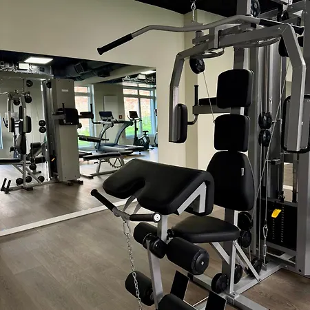 Piper Indigo Targi *