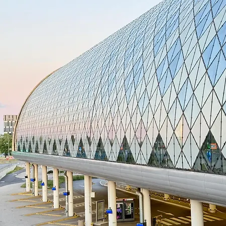 Piper Indigo Targi *