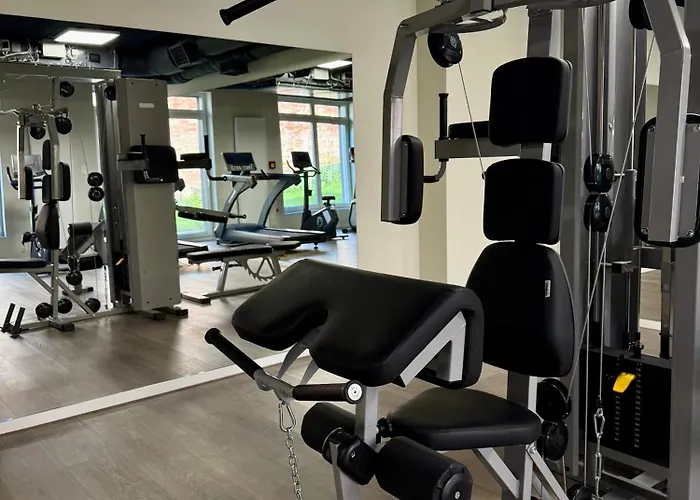 Piper Indigo Targi *